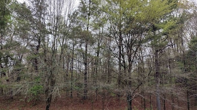 00 N Royal St, Jackson, TN 38301 - photo 2