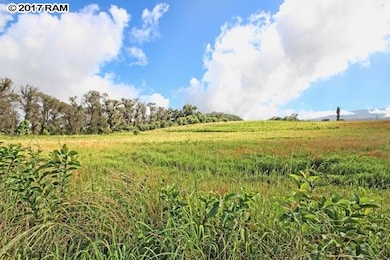 1 Paholei Rd, Makawao, HI 96768 - photo 3