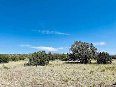 2074 W Critter Pass, Williams, AZ 86046 - photo 7