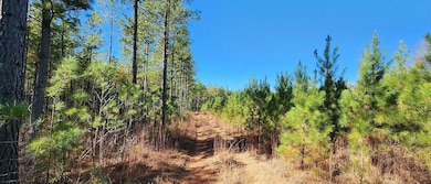 Partlow Rd, Beaverdam, VA 23015 - photo 5