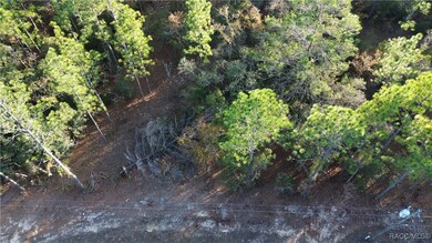 3882 W Fireside Ln, Citrus Springs, FL 34433 - photo 7