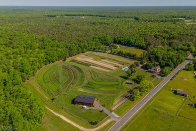 550 Hands Mill Rd, Woodbine, NJ 08270 - photo 3