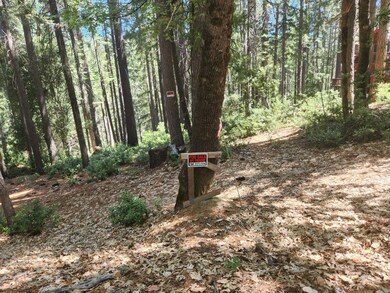 6296 Merry Way, Clipper Mills, CA 95930 - photo 7