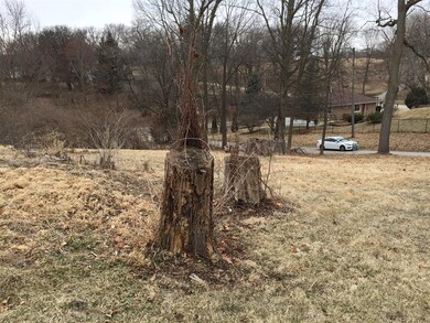 Some tress have been removed. Some will need to be