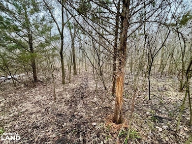 0 S Davis Rd, Reading, KS 66868 - photo 3