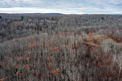 0 Swaller Hill Rd unit 24141946, Sharon, CT 06796 - photo 7