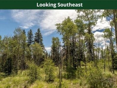 520 Rawhide Dr, Como, CO 80432 - photo 4