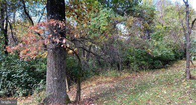 LOTS 23 & 25 Worlds End Ln, Linden, VA 22642 - photo 2