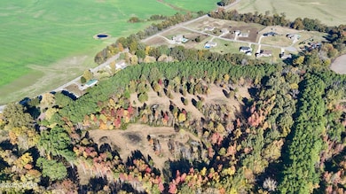 0 Hamer Rd, Dyersburg, TN 38024 - photo 5