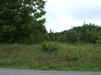 659 Old Mansion Rd unit A, Lunenburg Court House, VA 23952 - photo 4