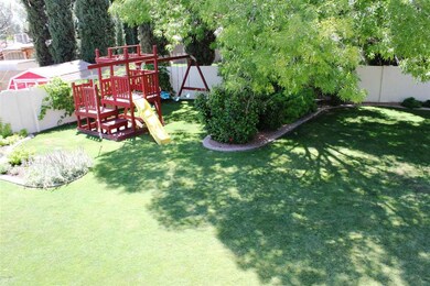 Overhead view of backyard 3