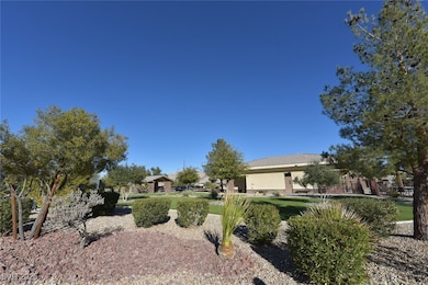 6119 Forest Pony Ave, Las Vegas, NV 89122 - photo 3