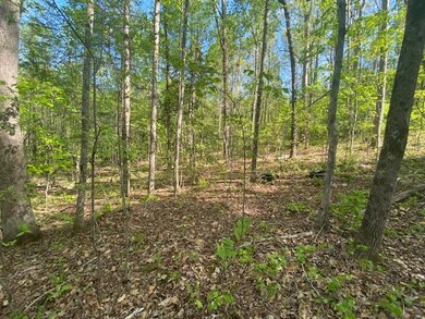 Lot 12 Ledbetter Ln, Walhalla, SC 29691 - photo 7