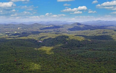 220 Eagle Ridge, Morganton, GA 30560 - photo 2