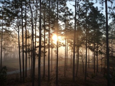 Early Morning