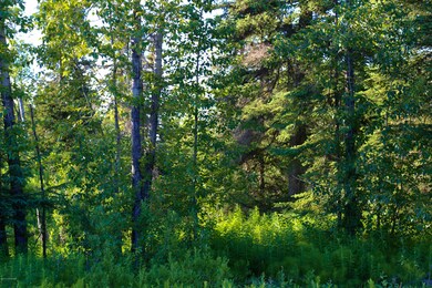 Stone River Lot 8
