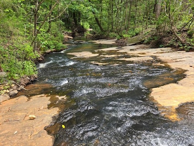 0 Booger Hollow Rd unit 23734488, Dadeville, AL 36853 - photo 3