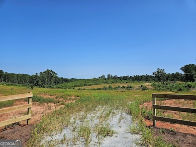 TRACT 2 THORNTO Thornton Dr, Elberton, GA 30635 - photo 3