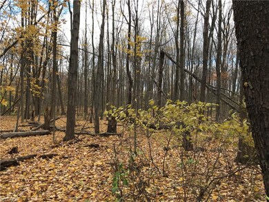 4 N Bissell Rd, Aurora, OH 44202 - photo 4