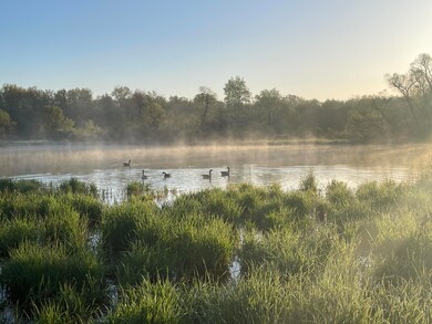 IMG_2781 2