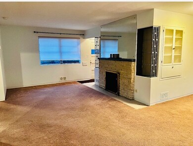 594 S Hillcrest Ave, Elmhurst, IL 60126 - photo 5