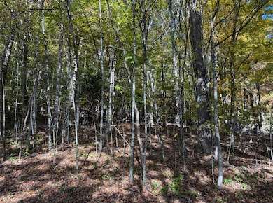 0 Lauren Ln unit 24422390, West Jefferson, NC 28694 - photo 5