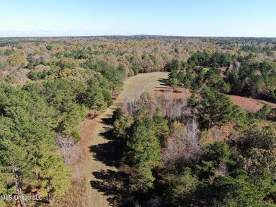 DJI_0335