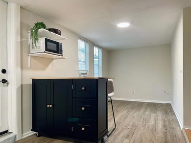 333 9th Ave N unit B, Saint Petersburg, FL 33701 - photo 5