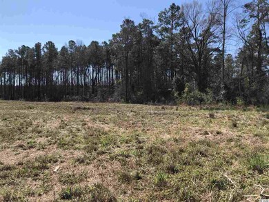 TBD Jt Barfield Rd unit 13.7 acres, Conway, SC 29527 - photo 5