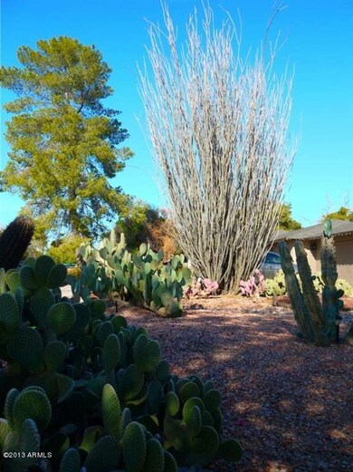 Front Side Yard