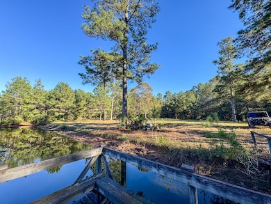 000 Big Woods Rd, New Waverly, TX 77358 - photo 5