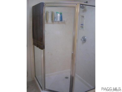 Separate Shower in Master