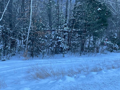 00 Route 25 W unit tbd, Tamworth, NH 03883 - photo 3