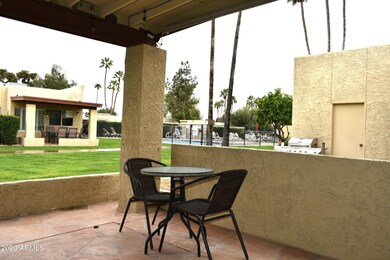 Back Patio View