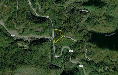Lot 78 Bear River Lodge Trail, Marshall, NC 28753 - photo 4