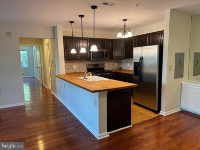 400 Plumbridge Ct unit 201, Lutherville Timonium, MD 21093 - photo 3