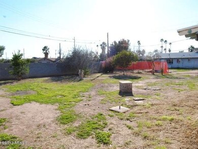 back yard (2)
