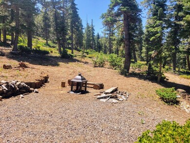 Borders National Forest