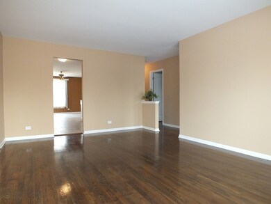 17211 Elm Dr, Hazel Crest, IL 60429 - photo 3