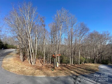 TBD Elaqua Ct unit 54 & 55A/26, Brevard, NC 28712 - photo 4