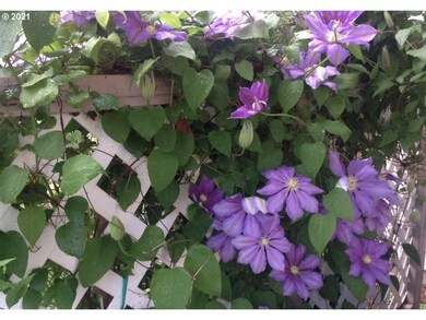 964 S Pine St, Canby, OR 97013 - photo 6