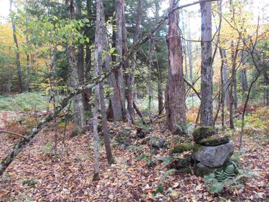 0 S Greenfield Rd unit 201911020, Greenfield Center, NY 12833 - photo 7