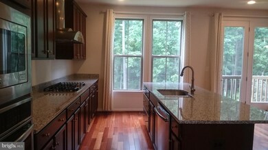 42425 Abney Wood Dr, Chantilly, VA 20152 - photo 7