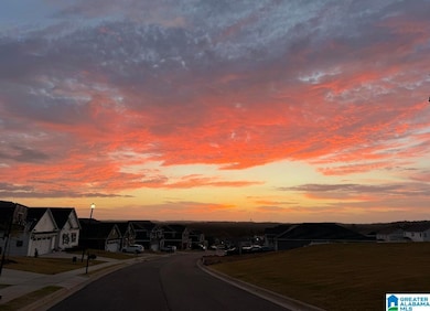 3001 Specklebelly Way, Alabaster, AL 35007 - photo 3