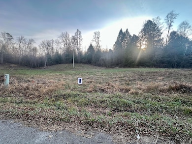 Lot 11 Hensley Rd, East Bernstadt, KY 40729 - photo 3