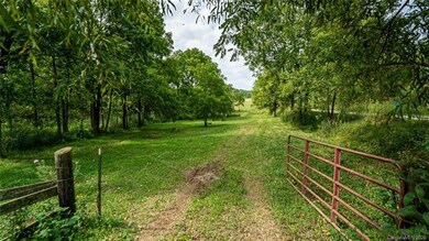 000 Turkey Creek Rd, Leicester, NC 28748 - photo 2