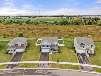 2721 Berrywood Ln, Oswego, IL 60543 - photo 4