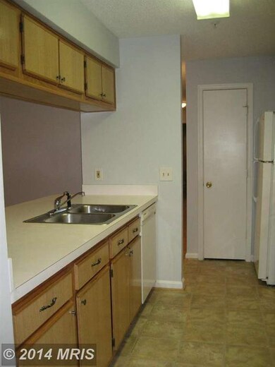 2806 Clear Shot Dr unit 1, Silver Spring, MD 20906 - photo 6