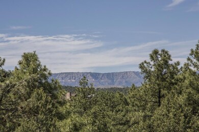 Mogollon Rim View