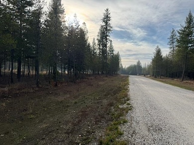 4015 Black Pine Way, Springdale, WA 99173 - photo 3